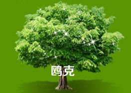 相關問題解決方案資料整理中 相關問題解決方案資料整理中